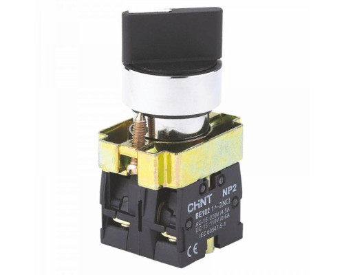 Переключатель NP2-BD21 2 полож. с фиксацией 1НО IP40 CHINT 574847